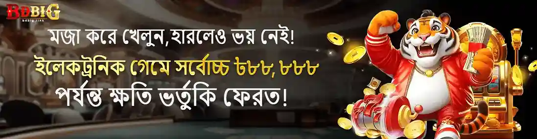 BDBIG Payment