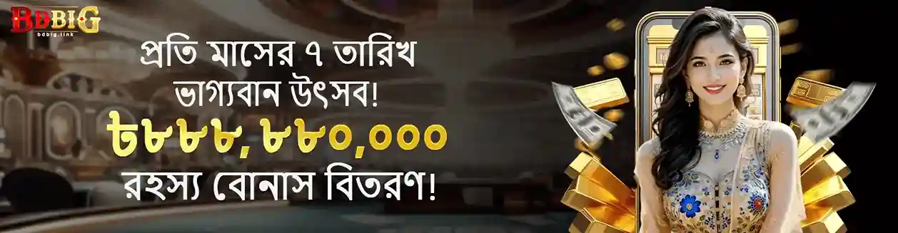 BDBIG Download