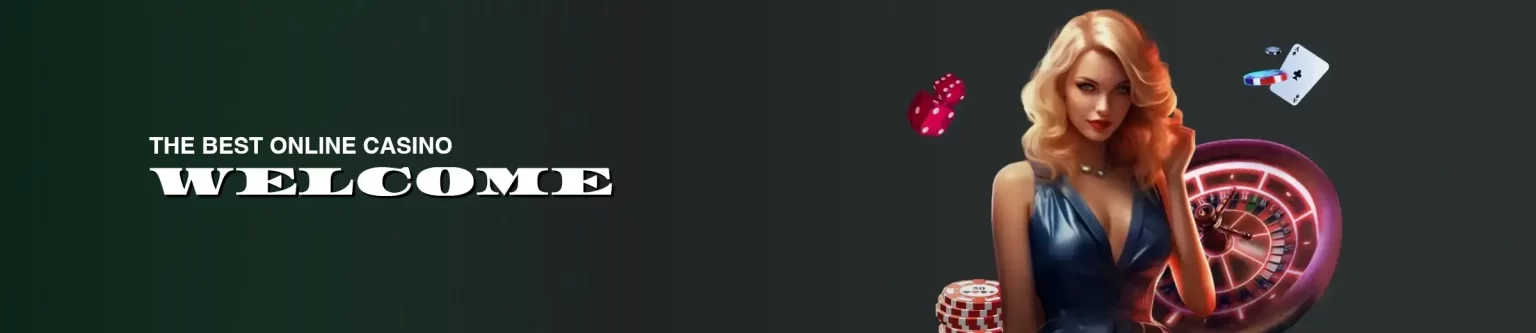 BDBIG About Us